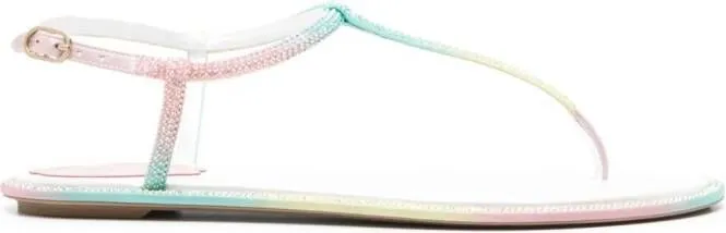 René Caovilla Diana Burano flat sandals Green